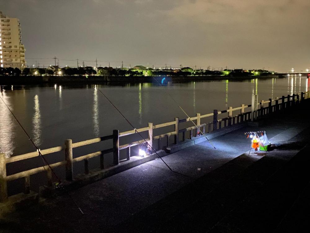 花見カレイ、アイナメ、五目釣り