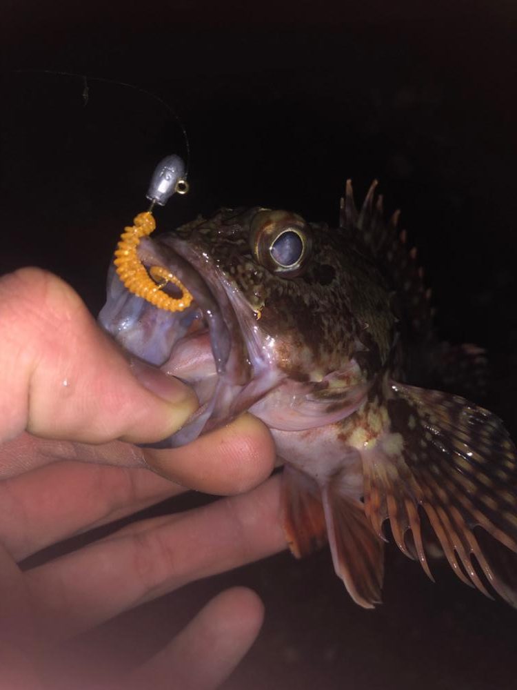 スロープの境目でドーン!!