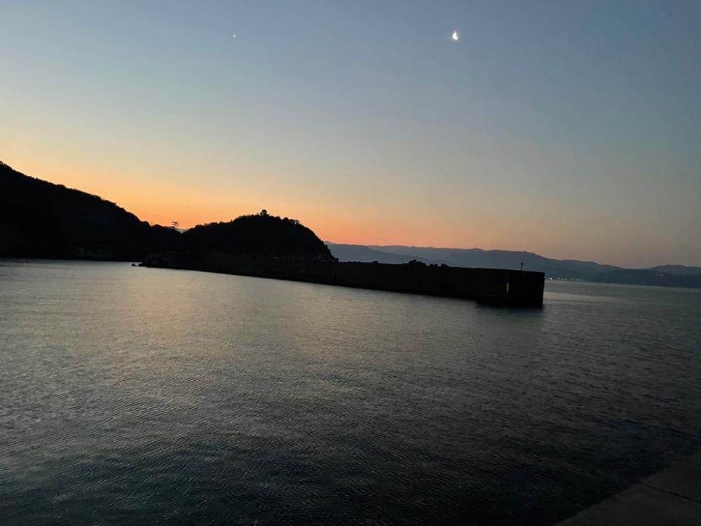 癒しのエギング