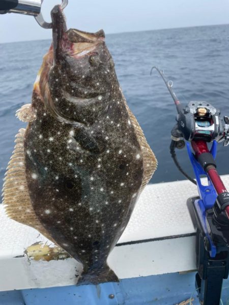 大原沖、ヒラメ泳がせ