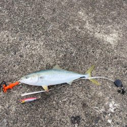 ３時間半、撮れ高ゼロを覚悟したその時！