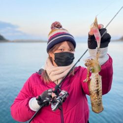 【天草】エギング・アジング　渋くも小型に遊…