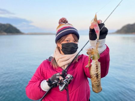 【天草】エギング・アジング　渋くも小型に遊…