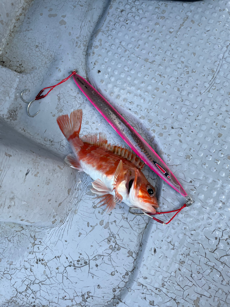 中深海ジギング