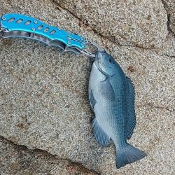 みぞれが降る爆風の中での釣行