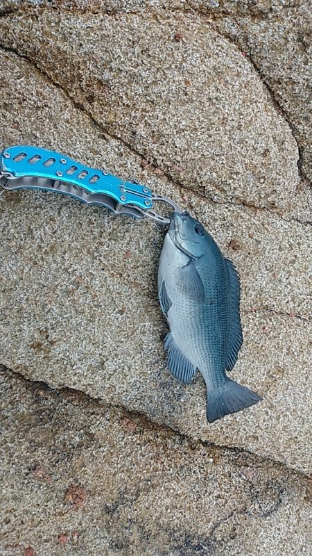 みぞれが降る爆風の中での釣行