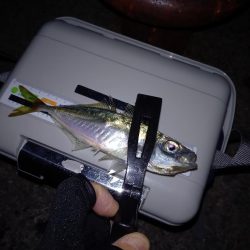 条件が悪いなか