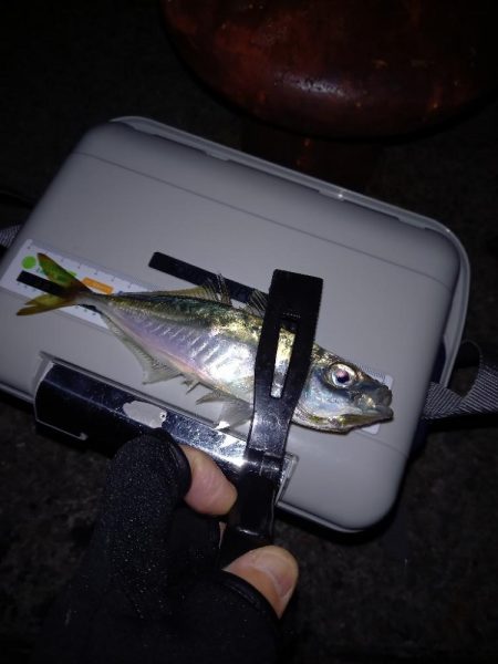 条件が悪いなか