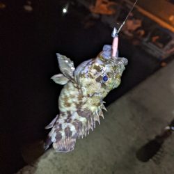 一匹までが遠い