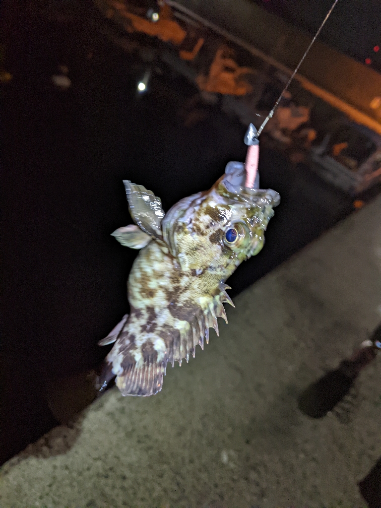 一匹までが遠い