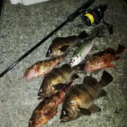 フロートゲーム