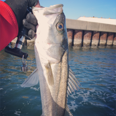 水上バイクでシーバスゲーム