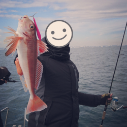 マイクロジギング