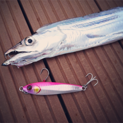 ボートマイクロジギング