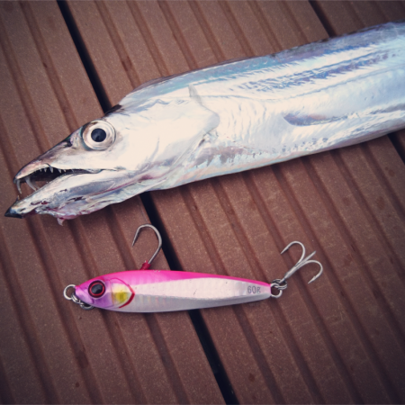 ボートマイクロジギング