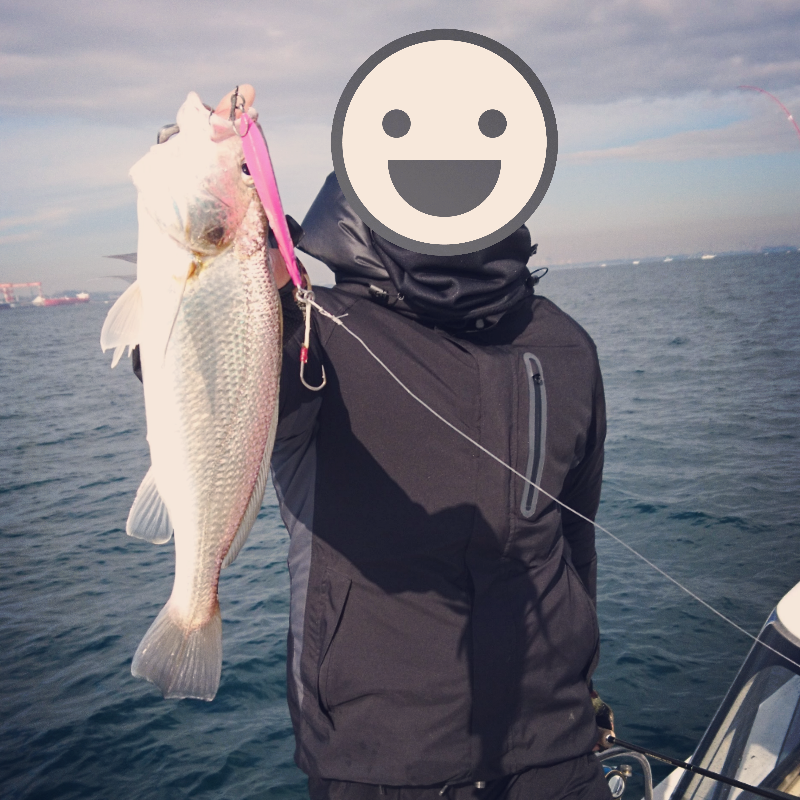 マイクロジギング