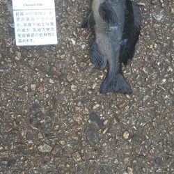 のんびり穴釣り