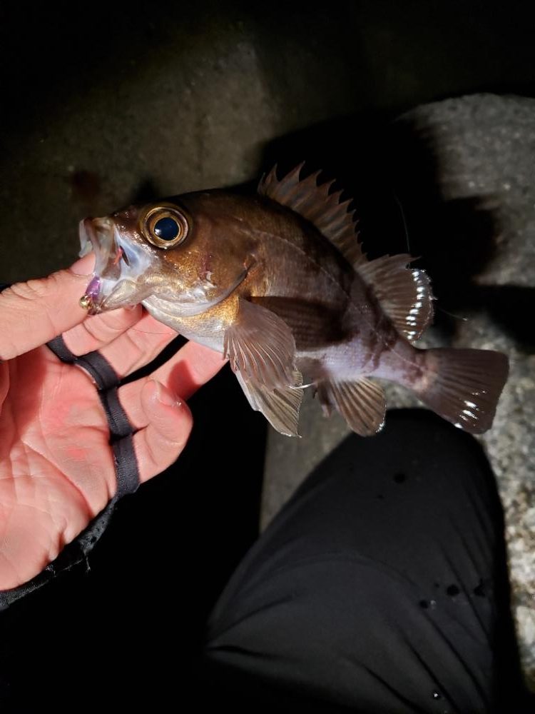 ディープ・パープルがお好きな様で