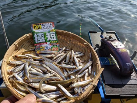 愛知県入鹿池ボート ワカサギ釣り！