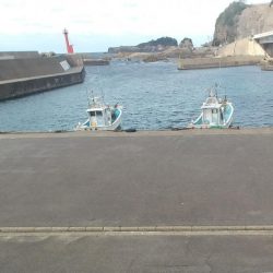 長橋でビックリ！！大物現る