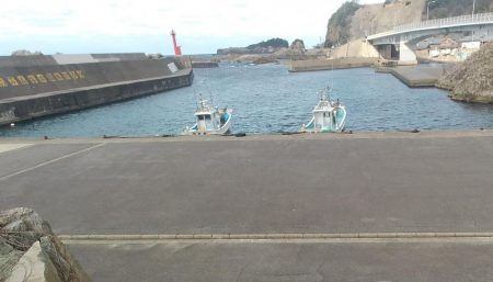 長橋でビックリ！！大物現る