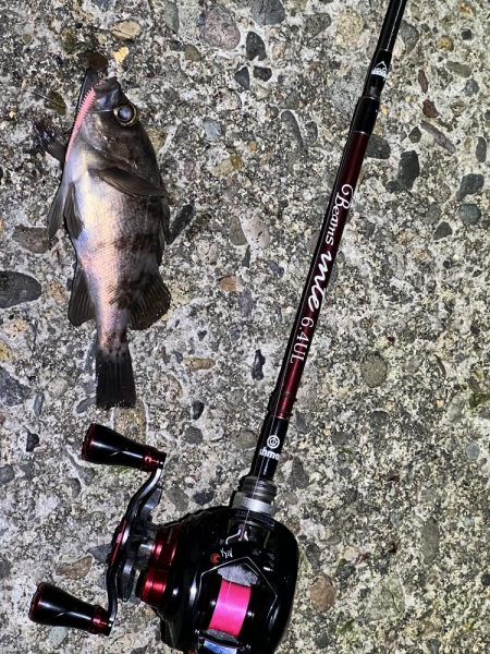 アジを求めて！！