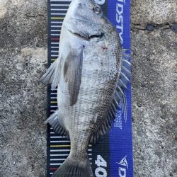 イチノ兄弟、釣果！