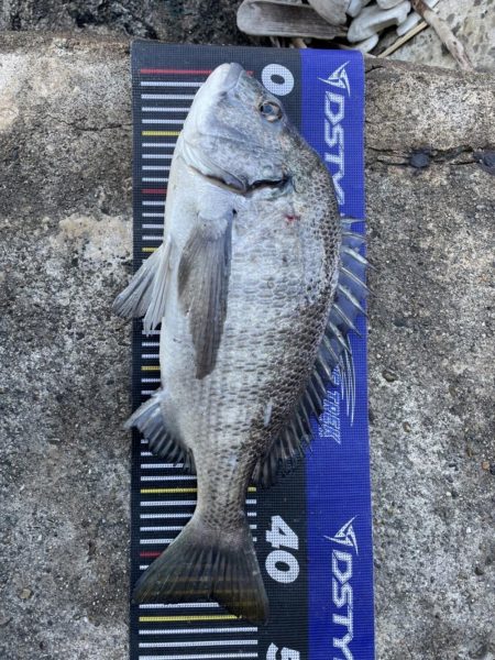 イチノ兄弟、釣果！