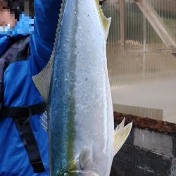 貰ったポッパーとペンシル投げたら釣れた。