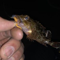 癒しのライトゲーム