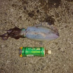 寒いけど！当たりがあります。