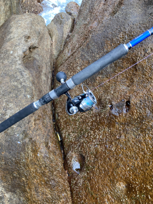 爆風ヒラスズキ