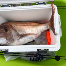 めでたい初浮き2022