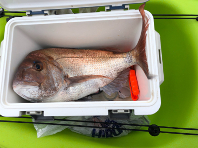 めでたい初浮き2022