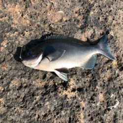 美味しいやつ！