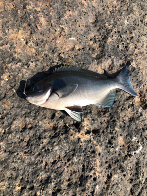 美味しいやつ！