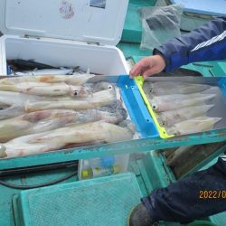 ヤリイカ、サバが釣れたよ(^_-)-☆