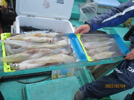 ヤリイカ、サバが釣れたよ(^_-)-☆