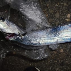 2月になりましたが