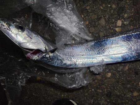 2月になりましたが