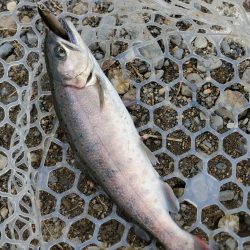 既成概念崩壊釣行記