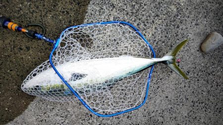 ノマセで90オーバーブリ