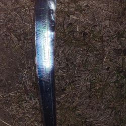 黄昏れタチウオ