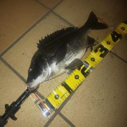 久しぶりの投稿です