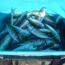 天気良し！風なし！絶好の釣り日和＾＾v