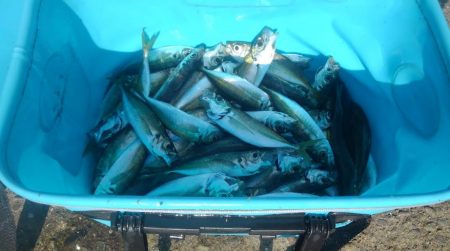 天気良し！風なし！絶好の釣り日和＾＾v