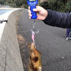 エギング釣行④(プチ温泉旅館付)