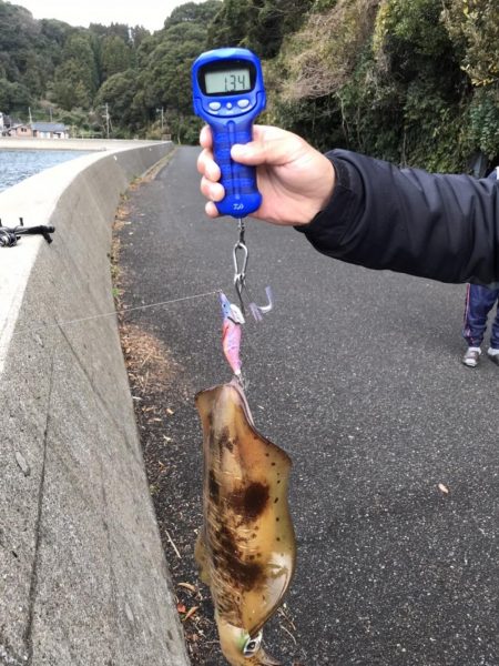 エギング釣行④(プチ温泉旅館付)