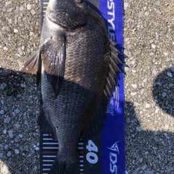 イチノ兄弟、釣果！