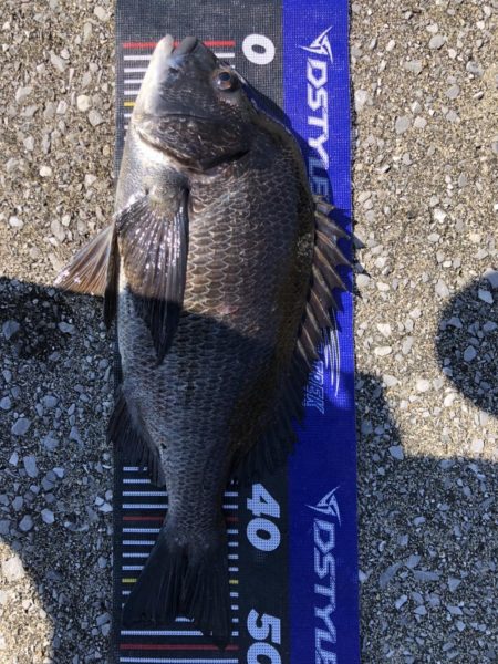 イチノ兄弟、釣果！